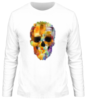 Мужские футболки с длинным рукавом Skull grunge 